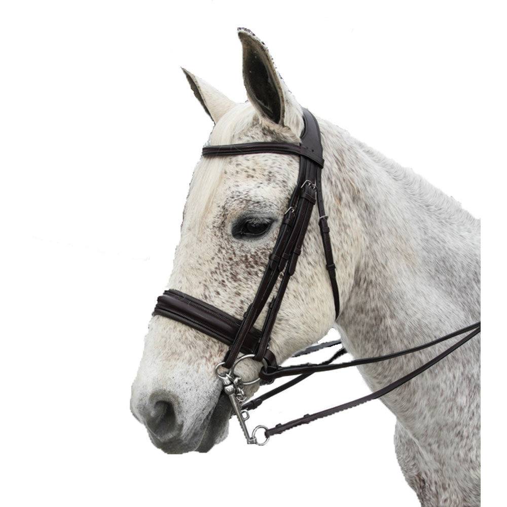 Exselle Elite Plain Raised Padded Bridle with Extra Brow