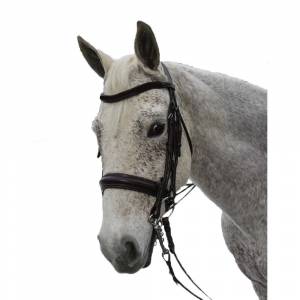 Exselle Elite Plain Raised Padded Rolled Leather Double Bridle with Extra Brow