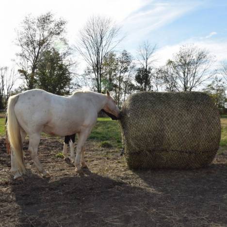 Tough 1 Round Bale Slow Feeder