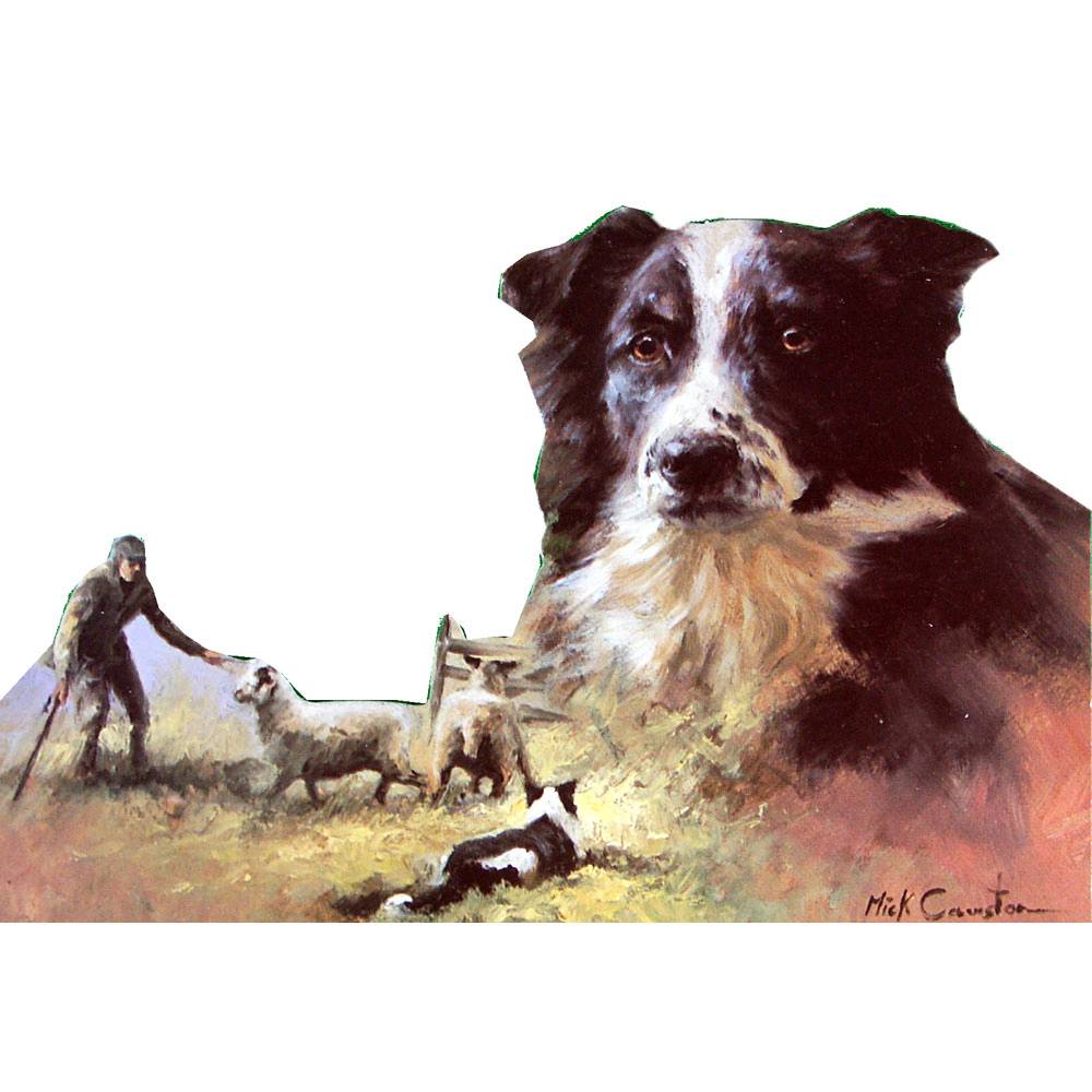 5-868145 Dogs - Border Collies - 6 pack sku 5-868145