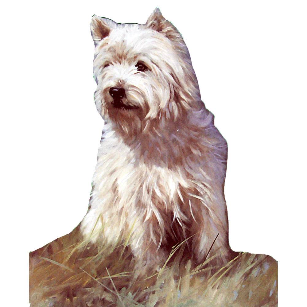 5-868150 Dogs - Westie (West Highland Terrier) - 6 pack sku 5-868150