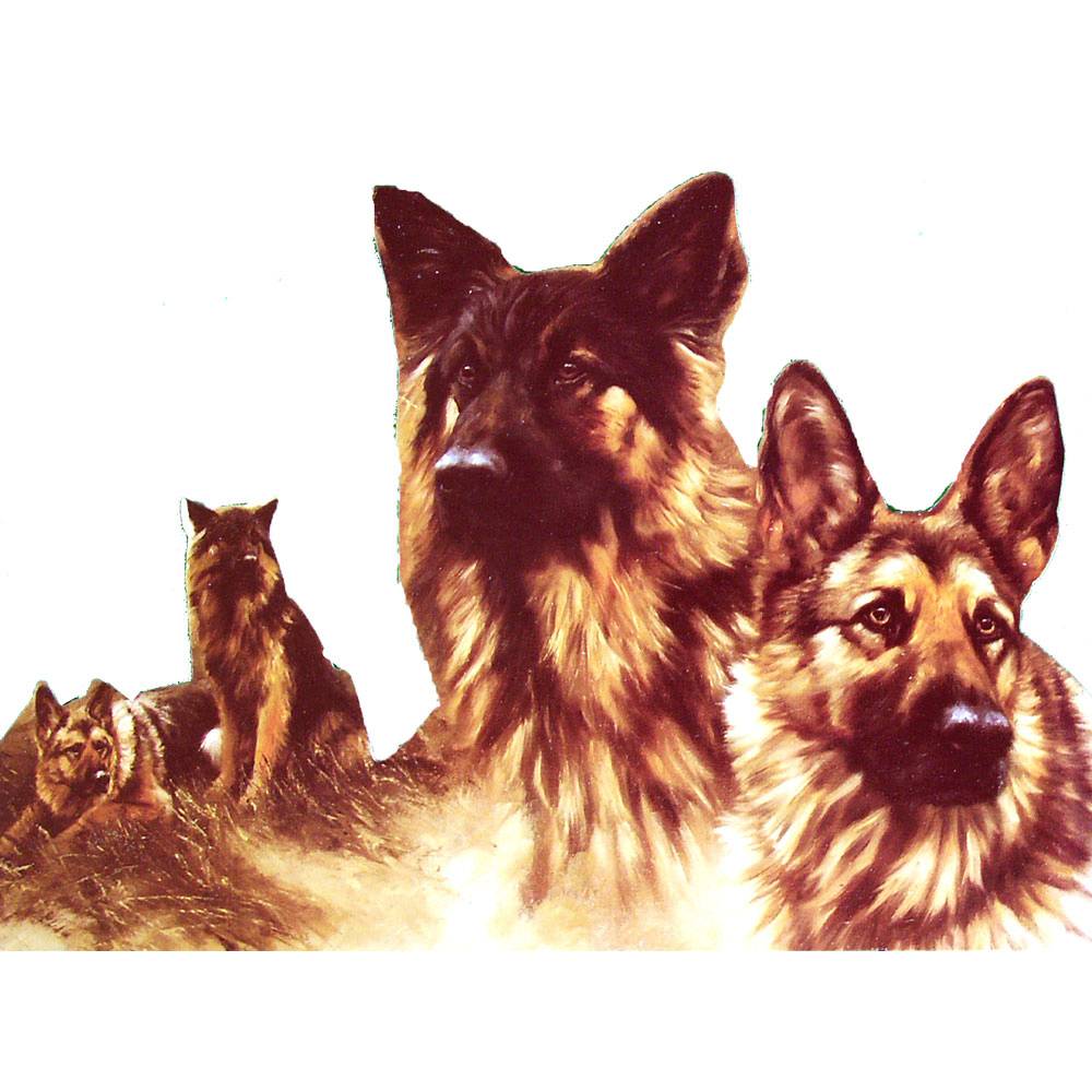 5-868151 Dogs - The GSD Detail (German Shepherd) - 6 pack sku 5-868151