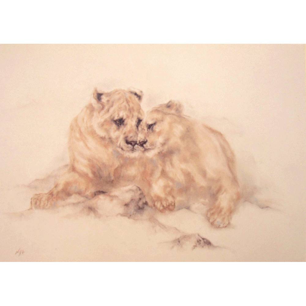 5-868155 Greeting Cards - Brotherly Love (Lions) - 6 pack sku 5-868155