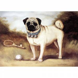 Porter Fine Art Dog Prints | A Pug on Court
