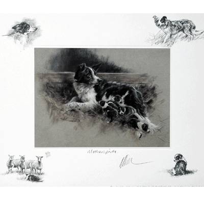 Sally Mitchell Fine Art Dog Prints - Mothers Pride