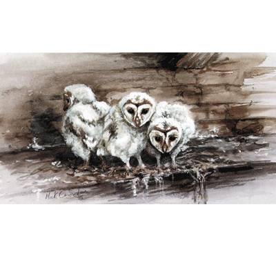 5-868193 Sally Mitchell Fine Art Wildlife Prints - What Was sku 5-868193