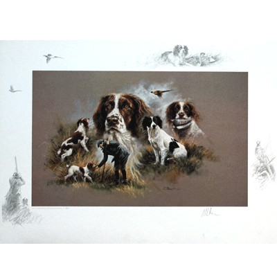 Sally Mitchell Fine Art Dog Prints - Springer Spaniel