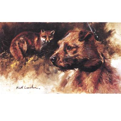 Sally Mitchell Fine Art Dog Prints - Border Terrier