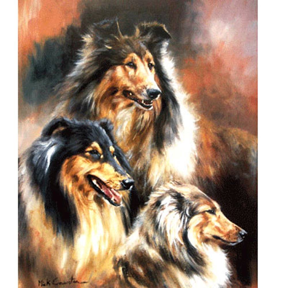 5-868200 Sally Mitchell Fine Art Dog Prints |The Rough Coll sku 5-868200