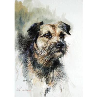 5-868207 Sally Mitchell Fine Art Dog Prints - Border Terrie sku 5-868207