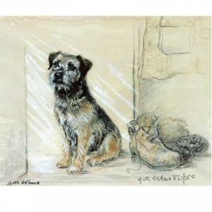 Corinium Fine Art Dog Prints - Border Terrier with Boots