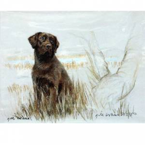 Corinium Fine Art Dog Prints - Chocolate Labrador