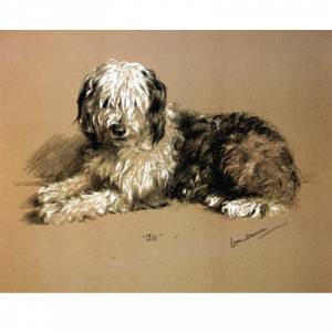 Porter Fine Art Dog Prints - Jill