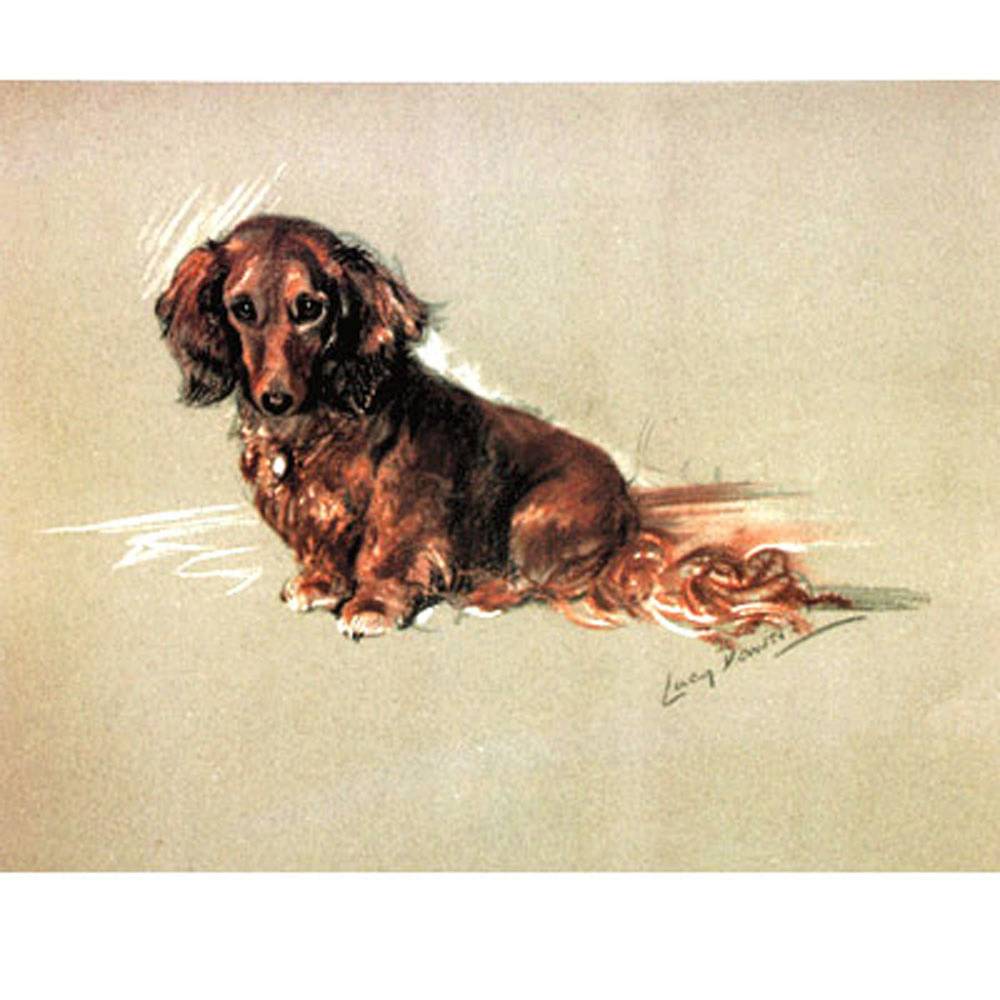 Porter Fine Art Dog Prints | Robin