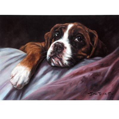 Sally Mitchell Fine Art Dog Prints - Am I Forgiven Yet