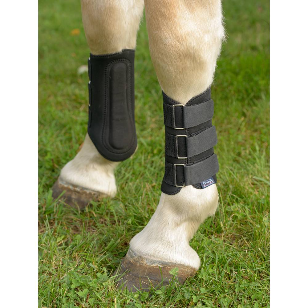 leather splint boots for horses