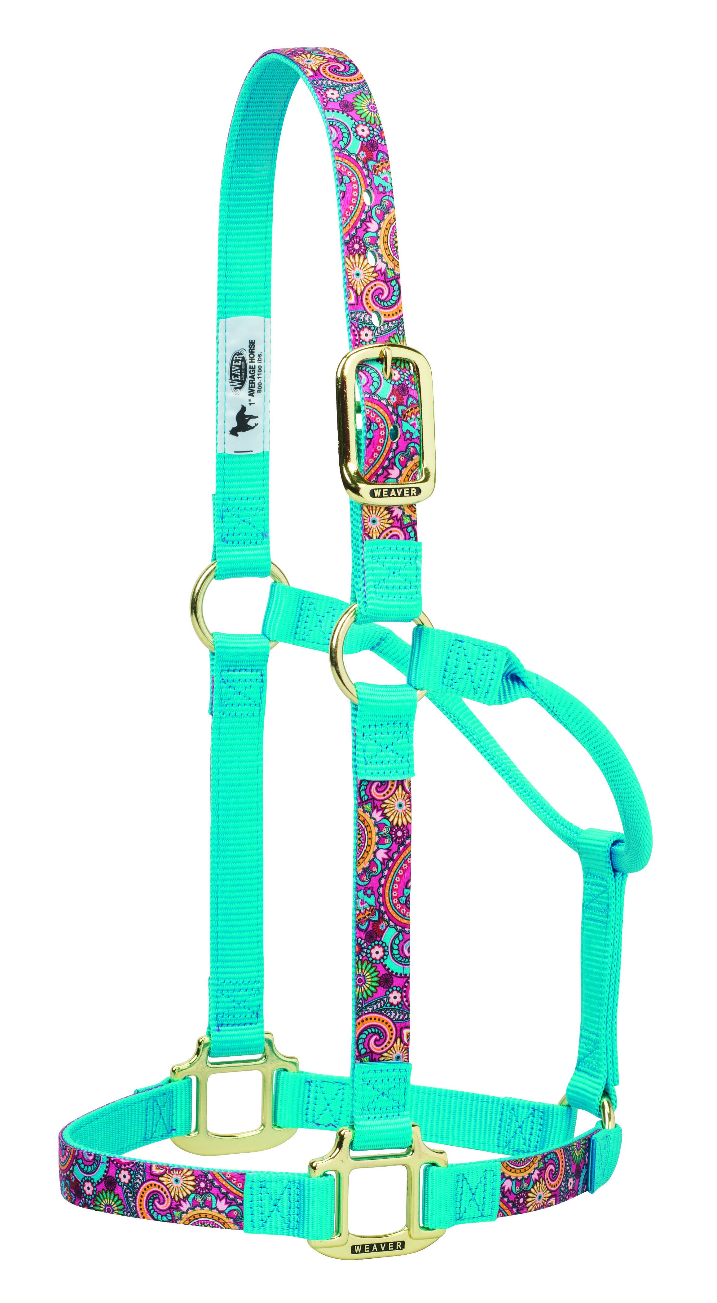 Weaver Nylon Paisley Non-Adjustable Horse Halter