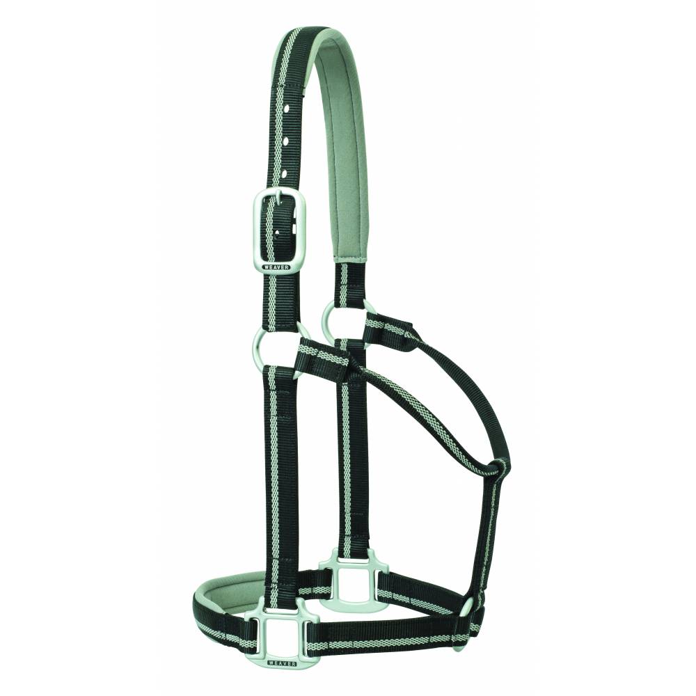 Weaver Nylon Padded Reflective NonAdjustable Horse Halter