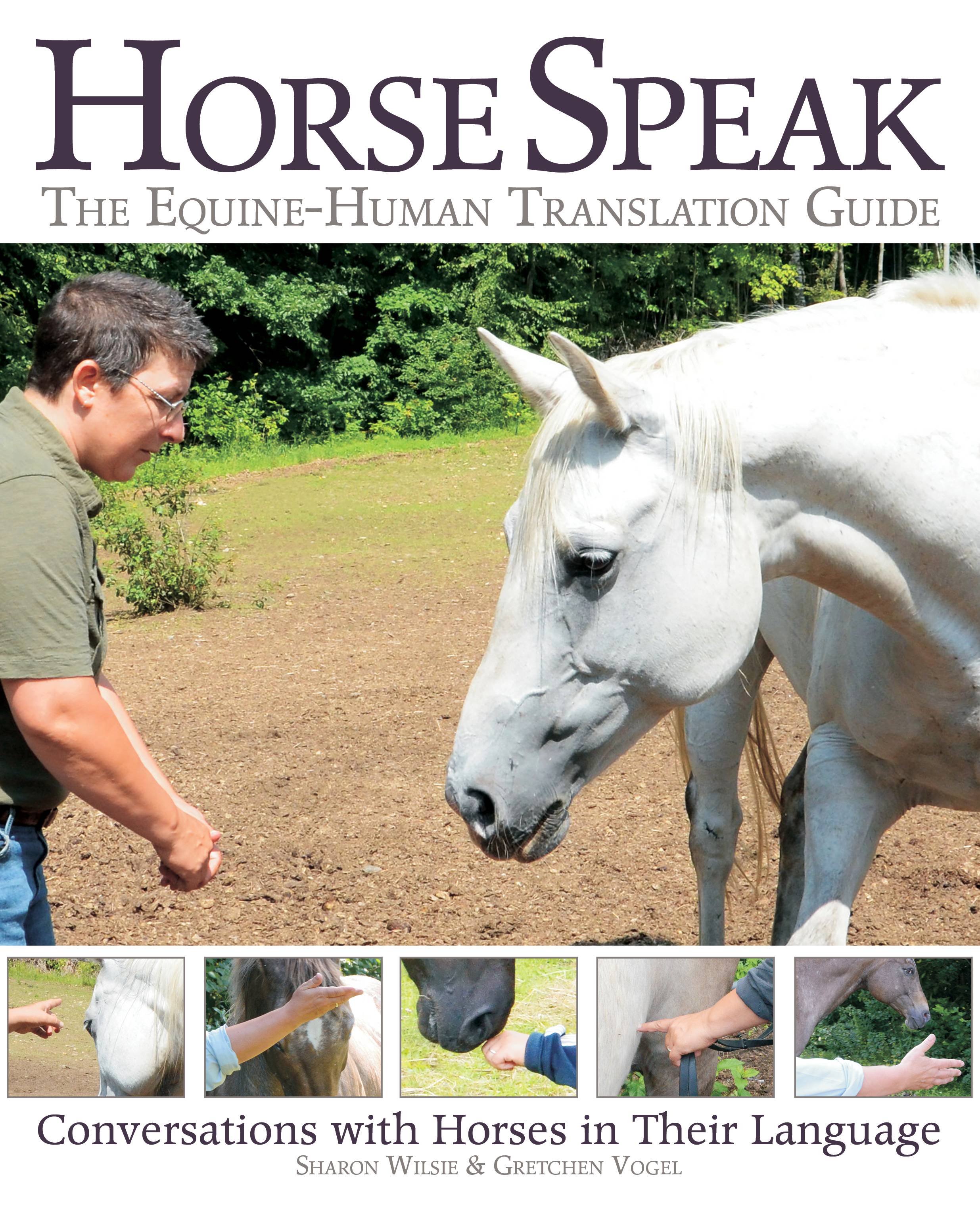 Horse Speak: The Equine Human Translation Guide