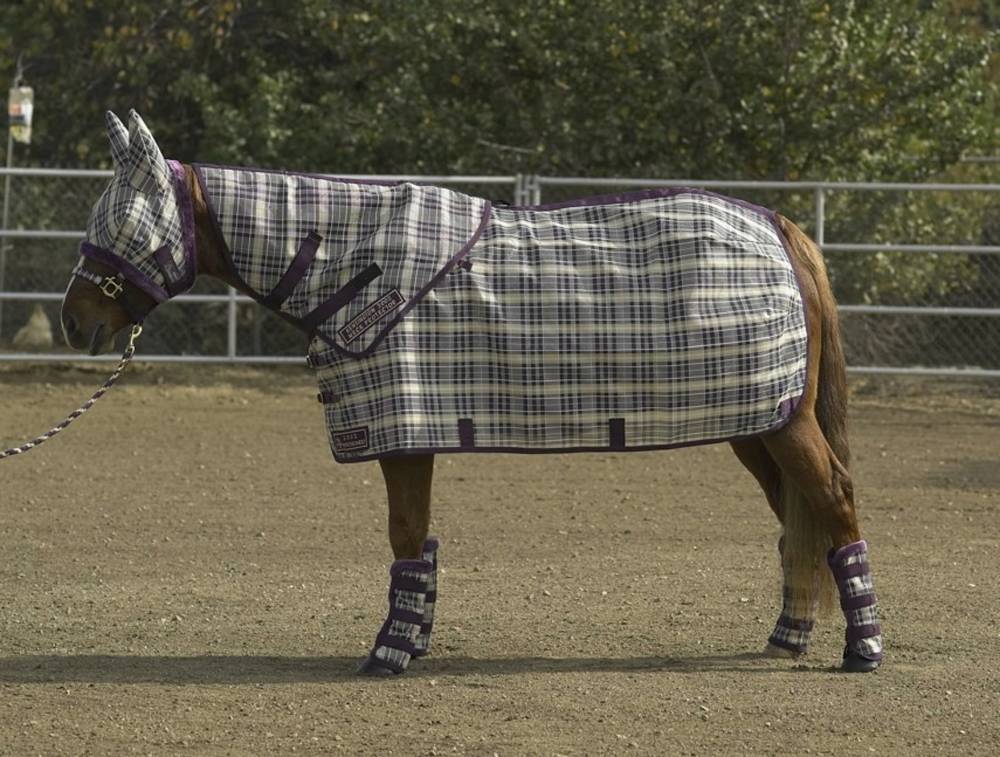 Kensington Traditional Cut Textilene Protective Fly Sheet English