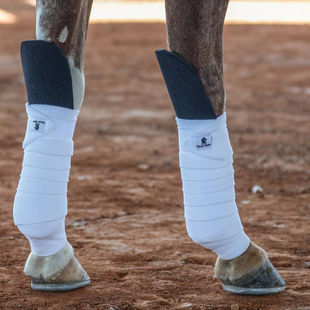 Classic Equine Knee Guard Pair EquestrianCollections