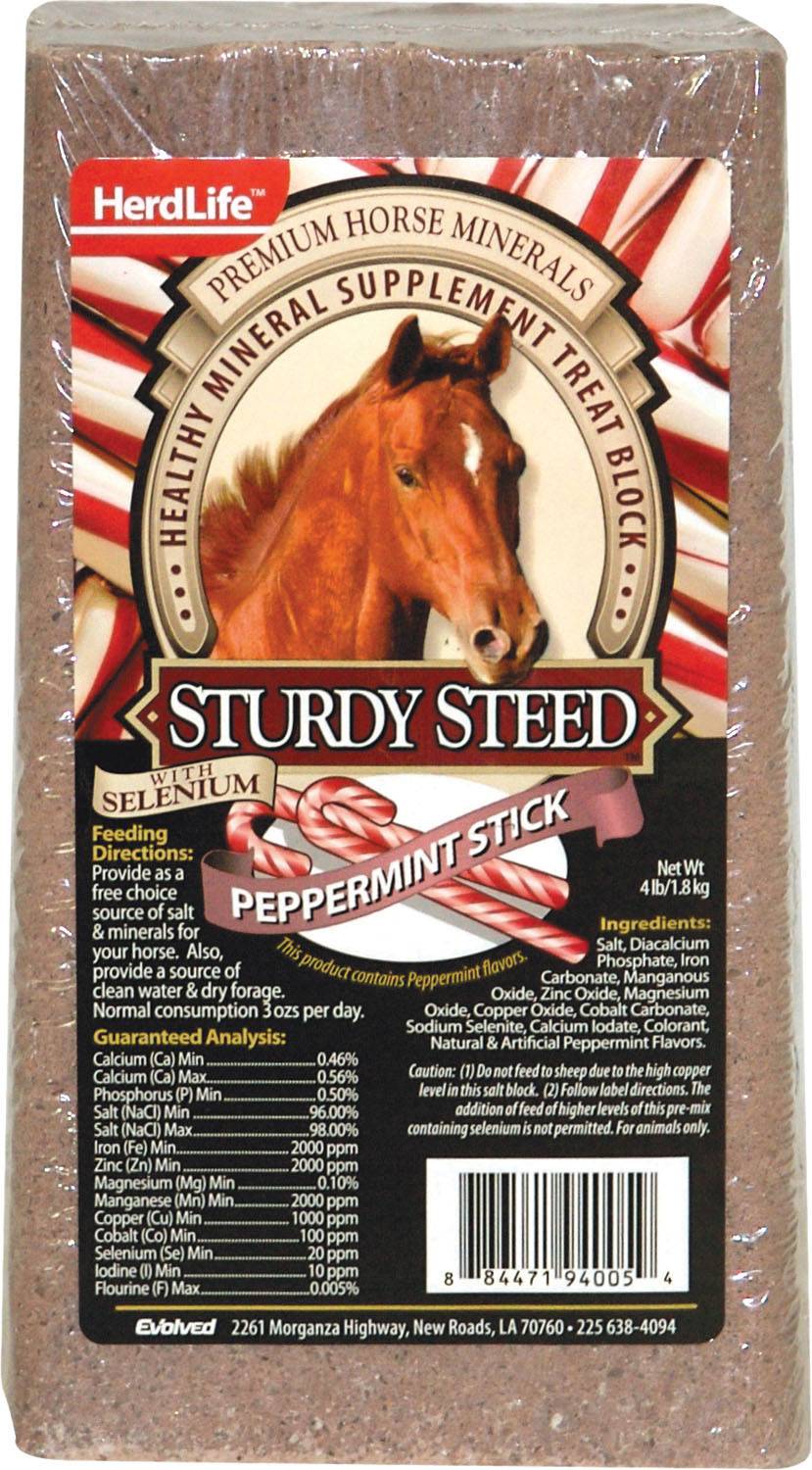 Evolve Sturdy Steed Horse Salt Block