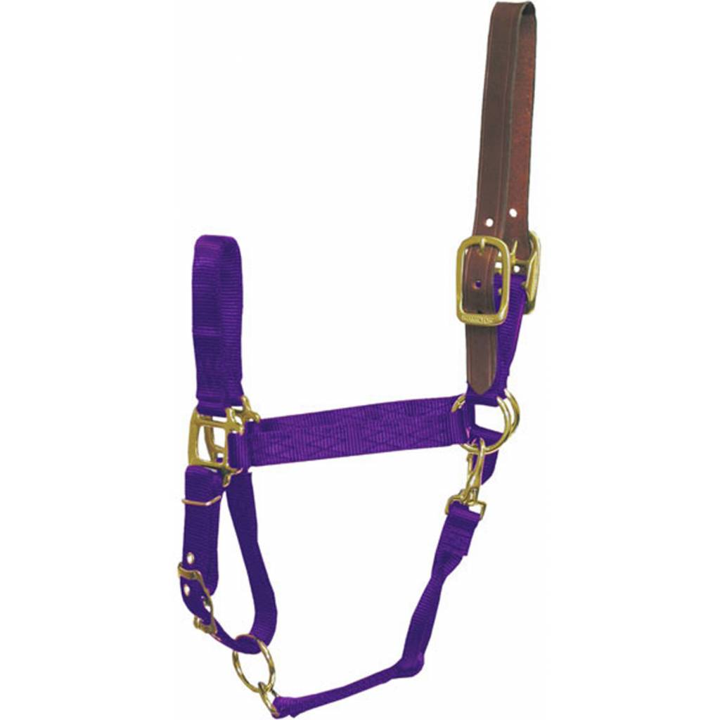 Hamilton Adjustable Breakaway Horse Halter