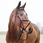 Horze Prescott Figure 8 Bridle