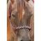 Professionals Choice Beaded Rope Halter