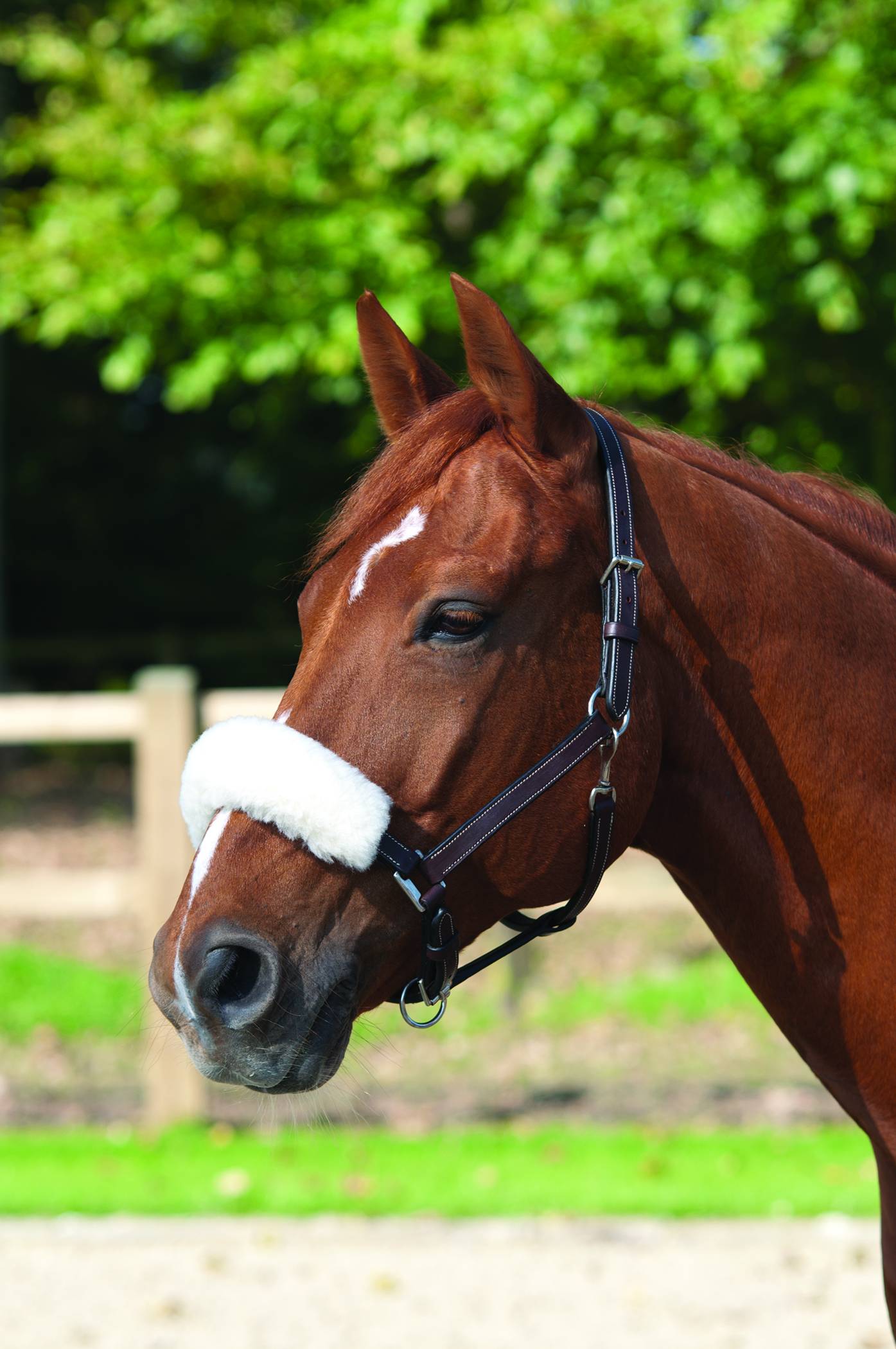 Lami-Cell Wool Noseband Cover