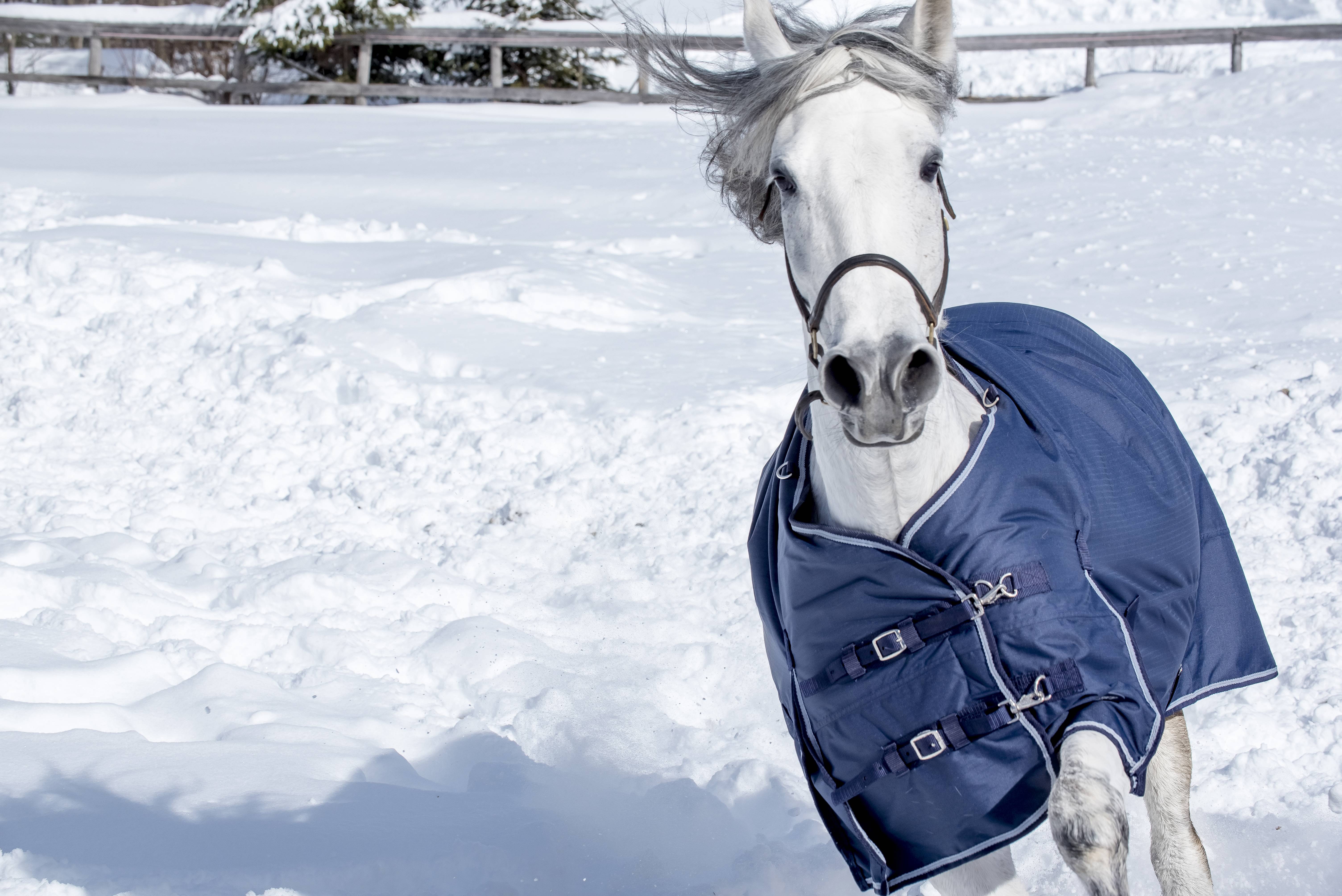 Equi-Sky Classic Heavy Weight Turnout Blanket