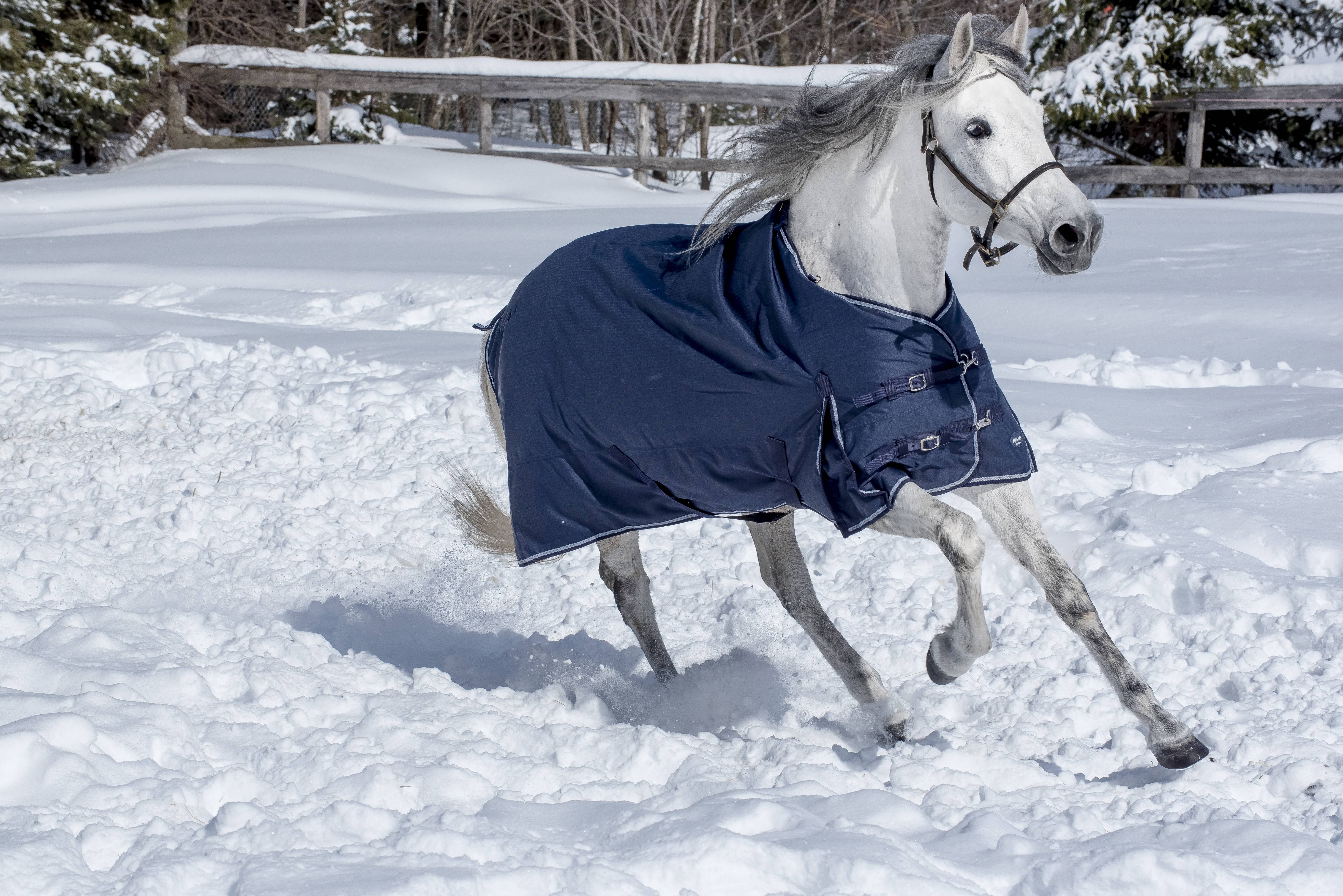 Equi-Sky Classic Medium Weight Turnout Blanket