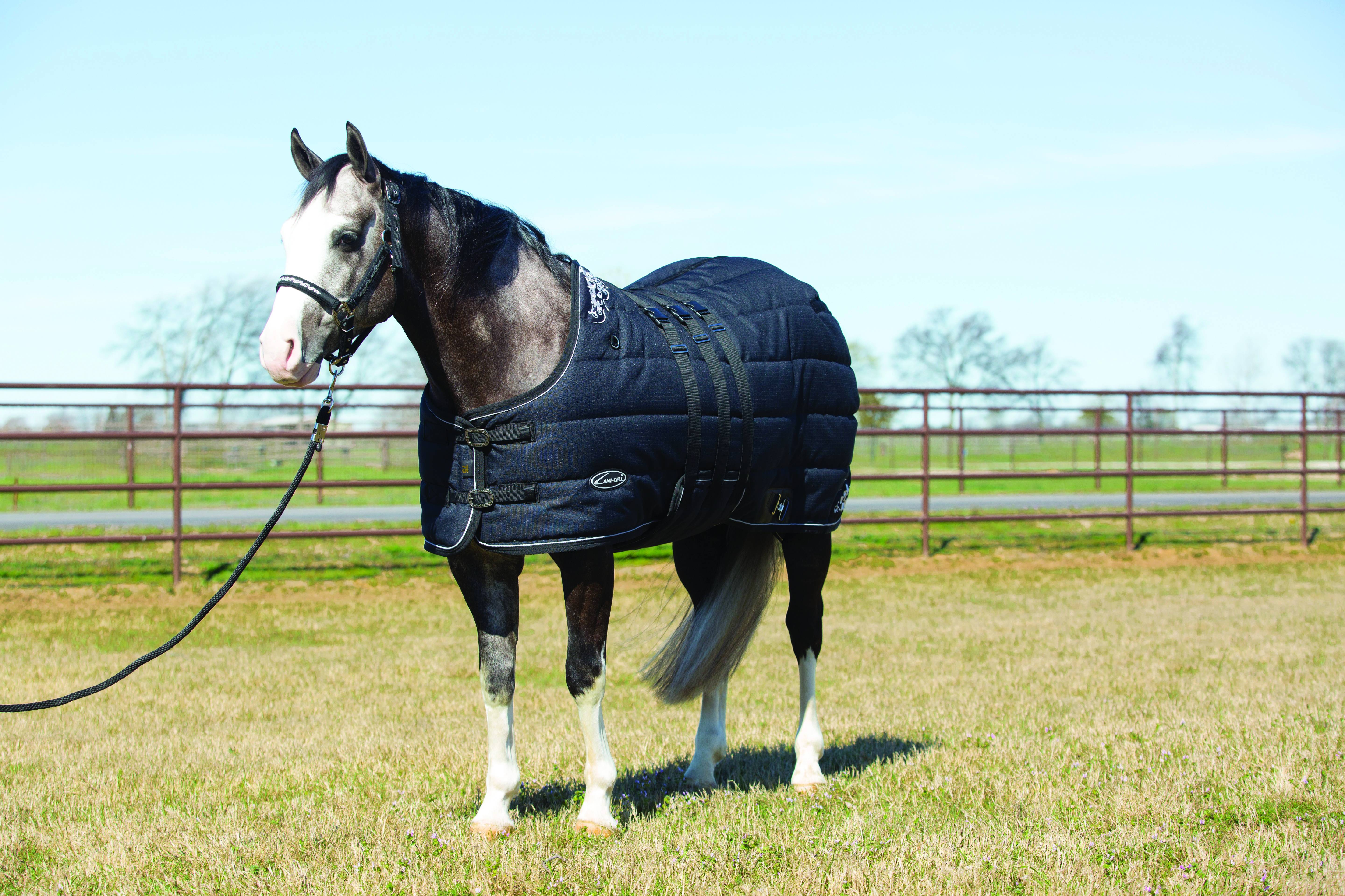 5-892847 Lami-Cell Sterling 300g Stable Blanket sku 5-892847