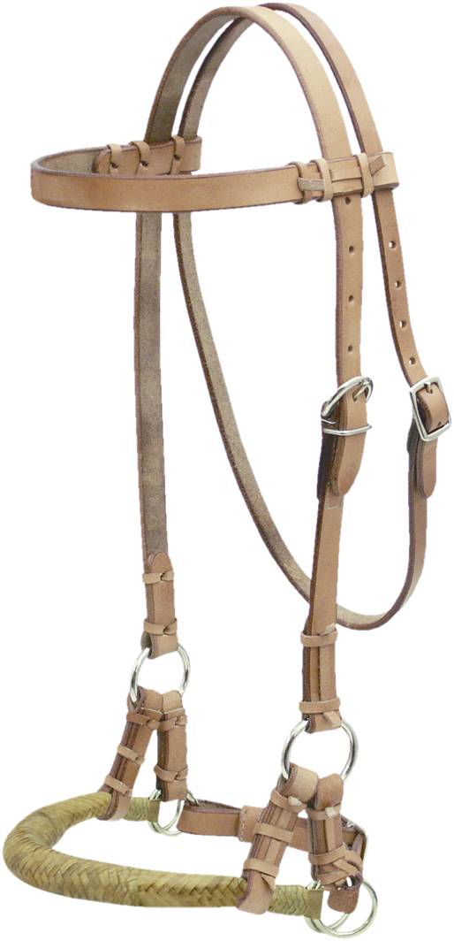21913 Billy Cook Saddlery Side Pull with Natural Rawhide sku 21913