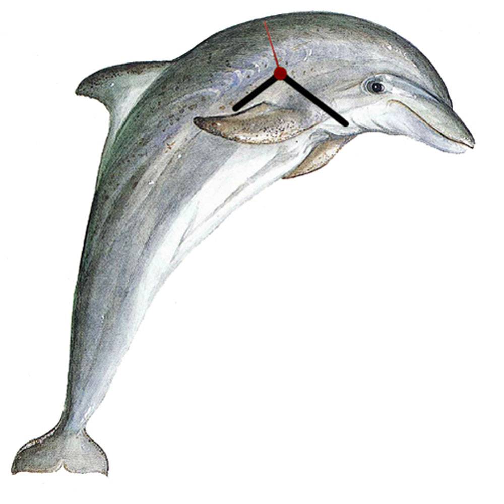 5-894940 Intrepid Bottle Nose Dolphin Clock sku 5-894940