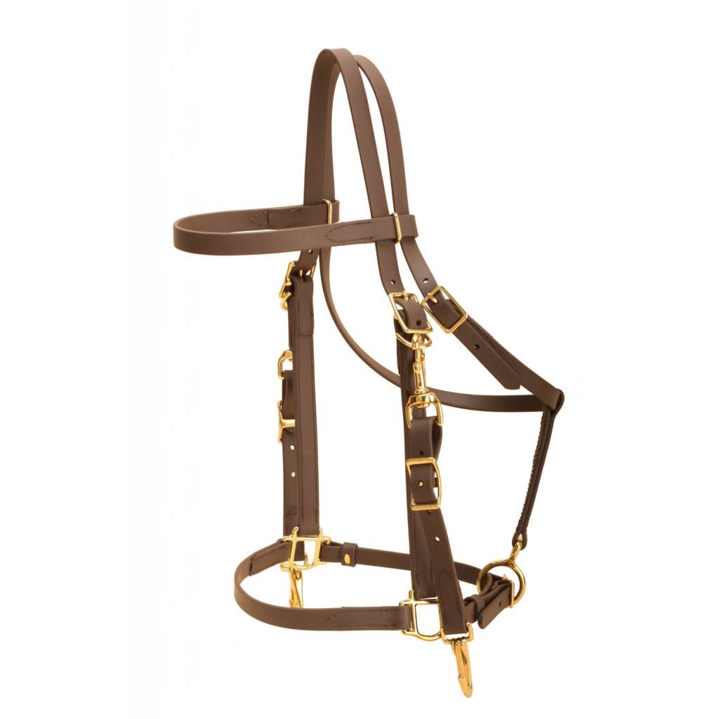 Tory Leather All Weather Combo Bridle