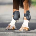 Shires Fetlock or Ankle Boots