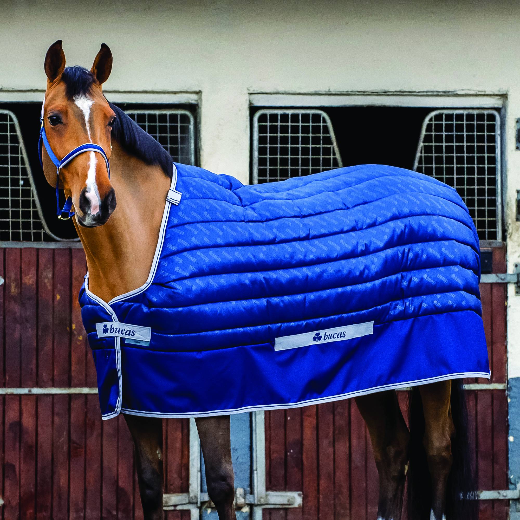 5-912088 Bucas Select Quilted Lined Stable Blanket - 300gm sku 5-912088