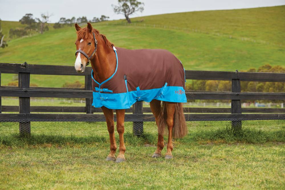 Saxon 600D Standard Neck Turnout Blanket With Gusset llMedium 