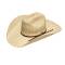 Ariat Mens Twisted Weave Maverick Crown Straw Western Hat