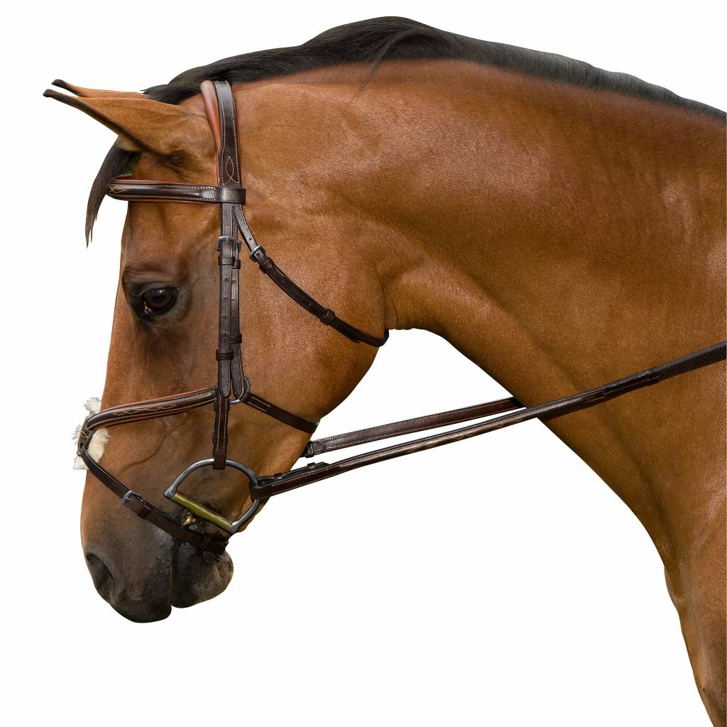 M. Toulouse Amelie Figure-8 Bridle-Jumper/Eventing