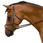 M. Toulouse English Horse Bridles