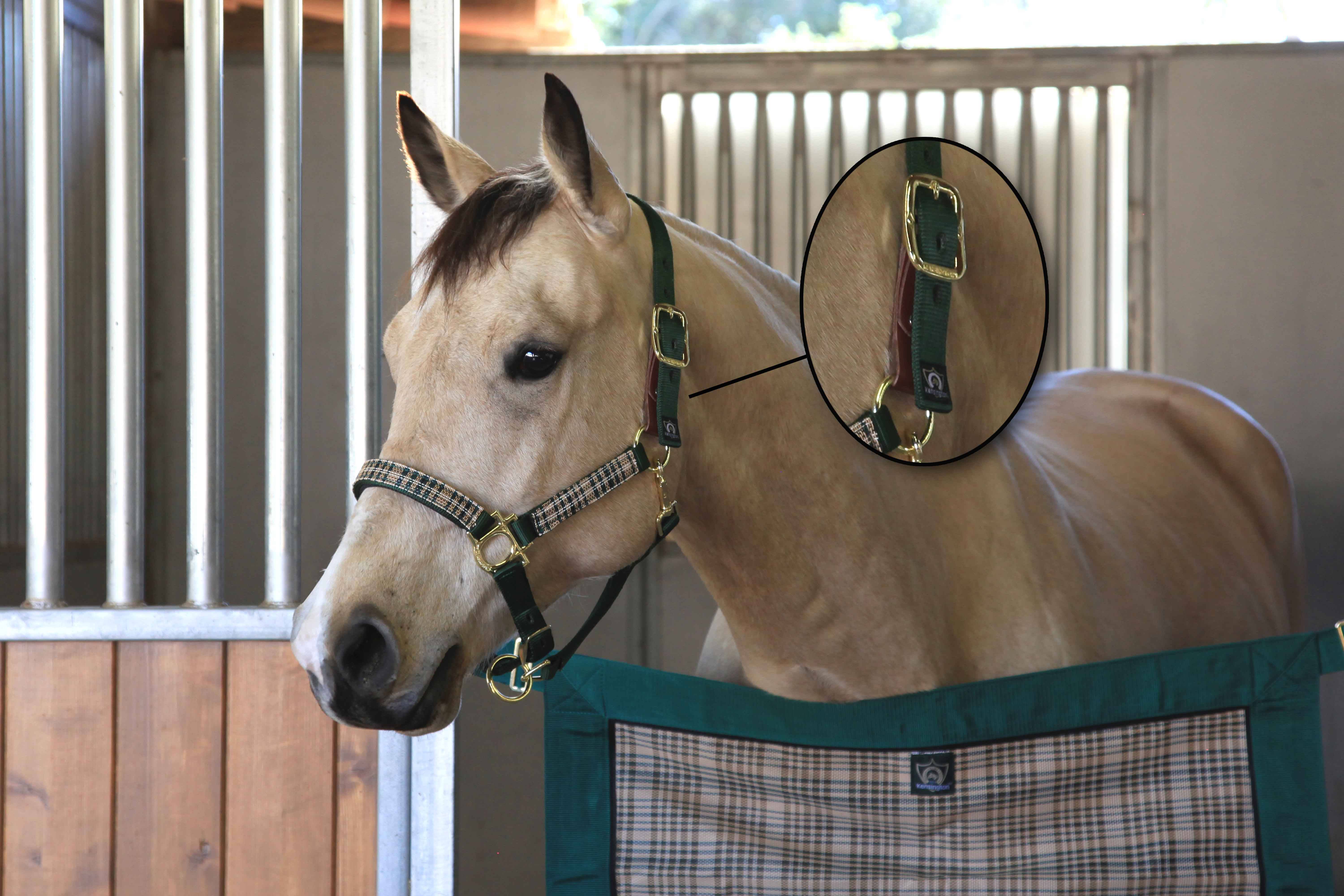 Kensington Premium Breakaway Halter