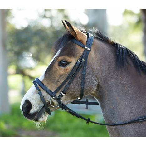 Wintec Bridle with Flash