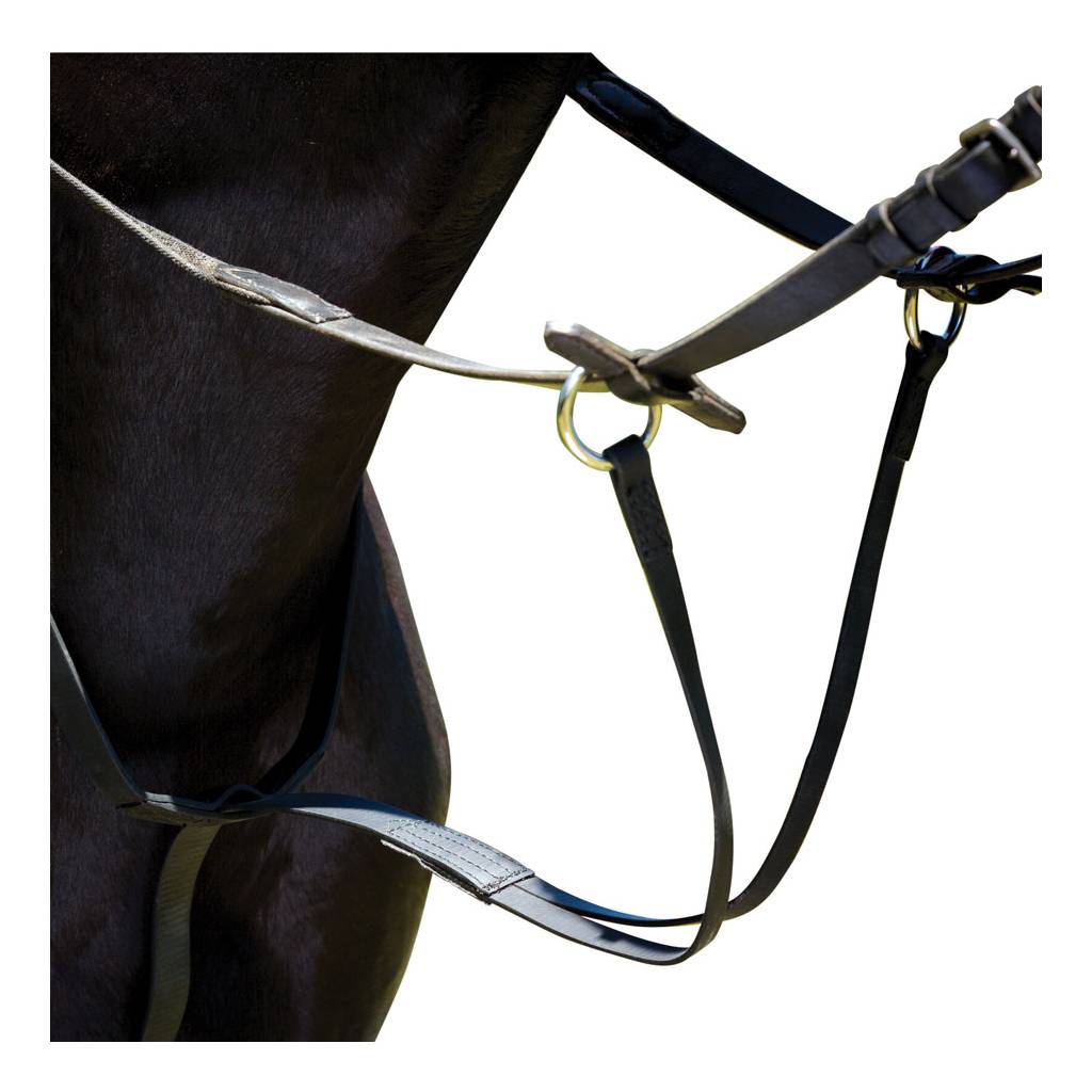 Wintec Running Martingale