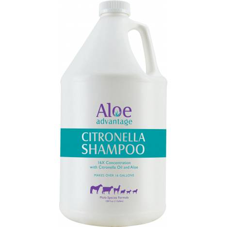 Citronella Shampoo