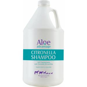 Citronella Shampoo