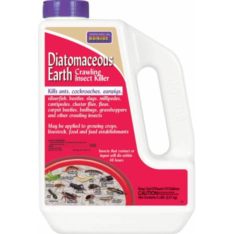 Diatomaceous Earth Jug