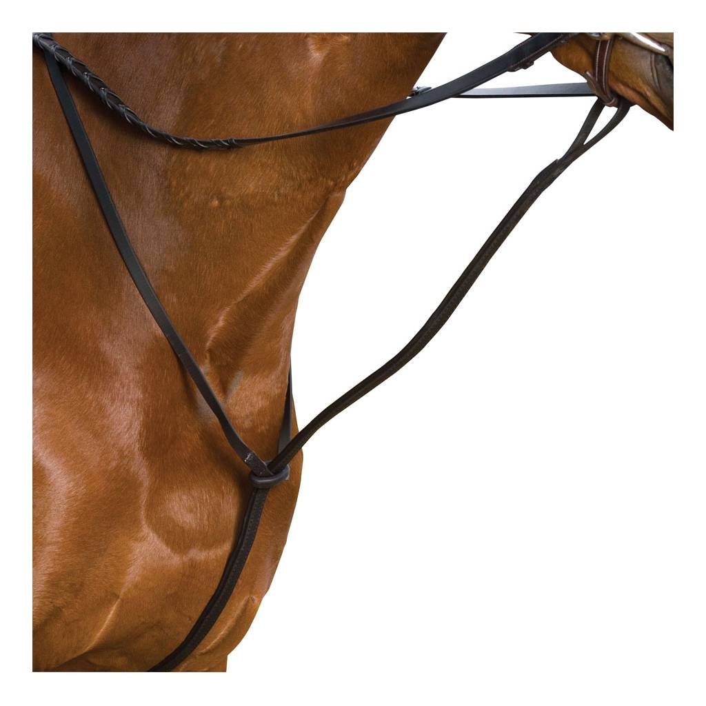 Wintec Standing Martingale