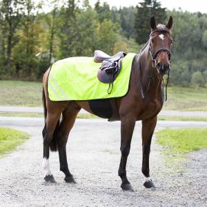 HorZe Reflective Mesh Blanket